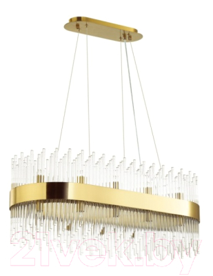 Люстра Odeon Light 4722/24 - фото