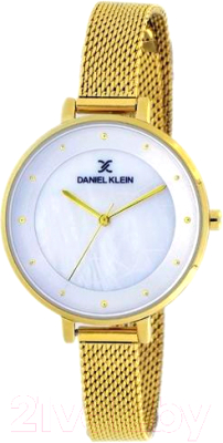 Часы наручные женские Daniel Klein 11540-2 - фото
