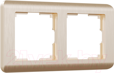 Рамка для выключателей и розеток Werkel W0022111 / a051263 - фото