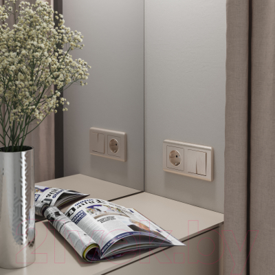 Рамка для выключателей и розеток Werkel W0022111 / a051263