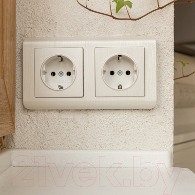 Рамка для выключателей и розеток Werkel W0022113 / a051262