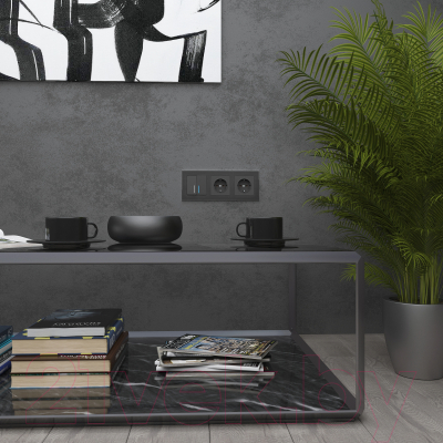 Рамка для выключателей и розеток Werkel W0031708 / a050952