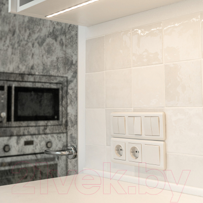 Рамка для выключателей и розеток Werkel W0032113 / a051265