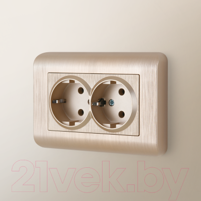 Рамка для выключателей и розеток Werkel W0082111 / a051273