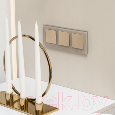 Выключатель Werkel W1112010 / a051435