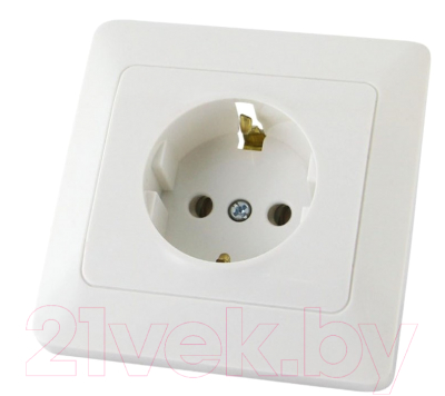 Розетка TDM Ильмень SQ1823-0010 - фото