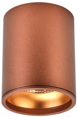 Точечный светильник Wertmark Stecken Ii WE804.01.607