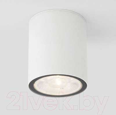 Светильник уличный Elektrostandard Light 2103 35131/H - фото