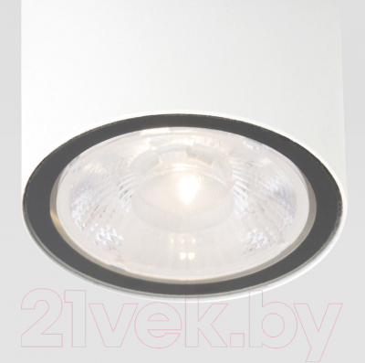 Светильник уличный Elektrostandard Light 2103 35131/H