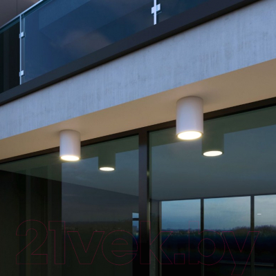 Светильник уличный Elektrostandard Light 2103 35131/H