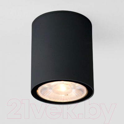 Светильник уличный Elektrostandard Light 2103 35131/H - фото