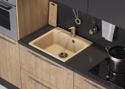 Мойка кухонная QuartzBond 530