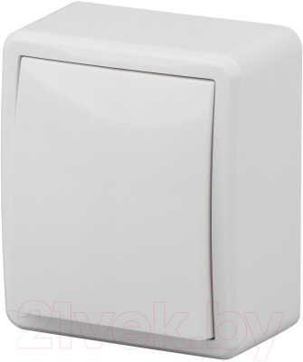 Выключатель ЭРА Эксперт 11-1203-01 / Б0020660 - фото