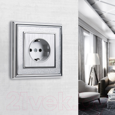 Розетка Werkel W1171109 / a051352