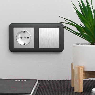 Розетка Werkel W1171109 / a051352