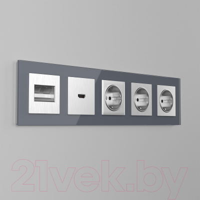 Розетка Werkel W1171109 / a051352