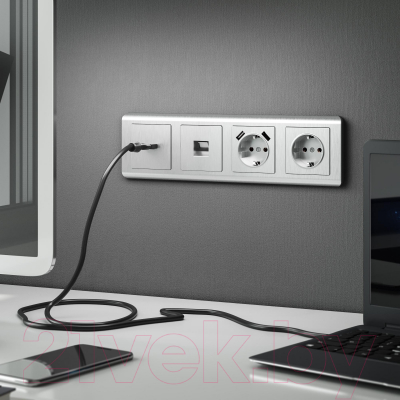 Розетка Werkel W1171109 / a051352