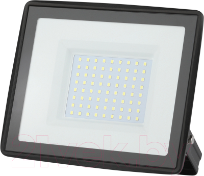 Прожектор ЭРА LPR-023-0-65K-100 / Б0052026 - фото