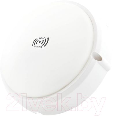 Светильник ЖКХ Glanzen RPD-0013-15 - фото