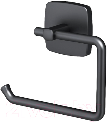 Держатель для туалетной бумаги AM.PM A9034122 - фото