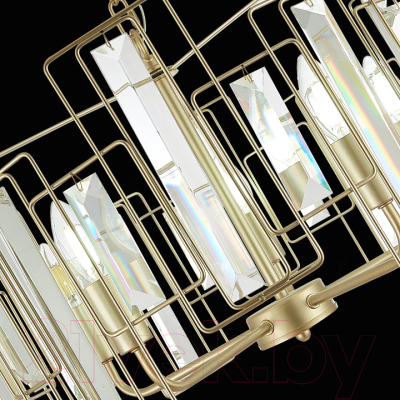 Люстра Evoluce Giano SLE103403-05