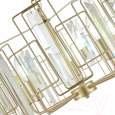 Люстра Evoluce Giano SLE103403-05