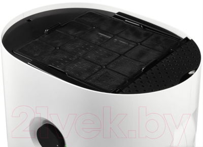 Мойка воздуха Electrolux EHW-620