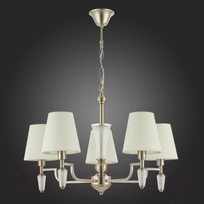 Люстра Evoluce Reimo SLE105503-05