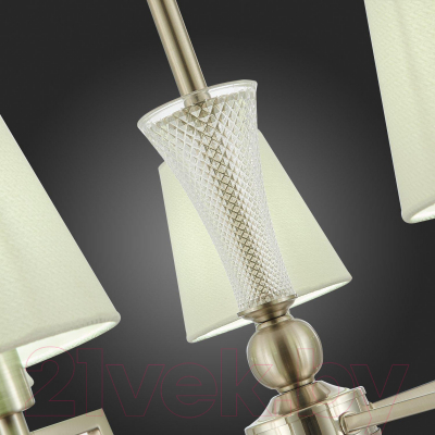 Люстра Evoluce Reimo SLE105503-05