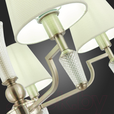 Люстра Evoluce Reimo SLE105503-05