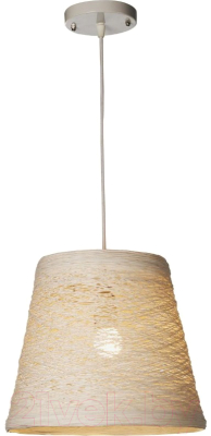 Потолочный светильник Velante 569 569-716-01 - фото