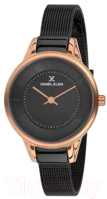 Часы наручные женские Daniel Klein 11790-4 - фото
