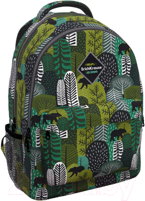 Школьный рюкзак Erich Krause EasyLine 20L Siberia / 51645 - фото