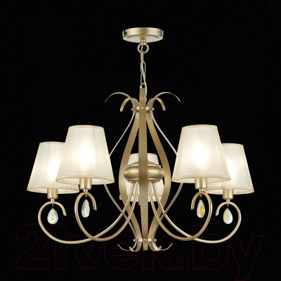 Люстра Evoluce Foggia SLE111403-05