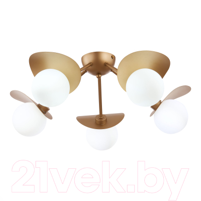 Люстра Evoluce Bolzano SLE220502-05