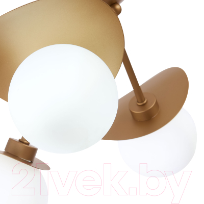 Люстра Evoluce Bolzano SLE220502-05