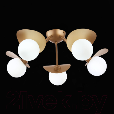 Люстра Evoluce Bolzano SLE220502-05