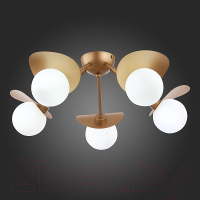 Люстра Evoluce Bolzano SLE220502-05