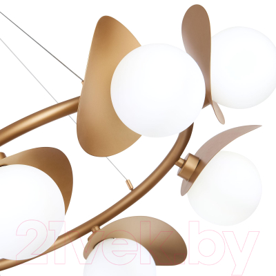 Люстра Evoluce Bolzano SLE220503-08