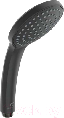 Лейка ручного душа Ideal Standard IdealRain B9402XG - фото