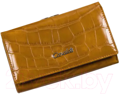 Портмоне Cedar 4U Cavaldi PX23-CR - фото