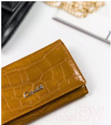 Портмоне Cedar 4U Cavaldi PX23-CR