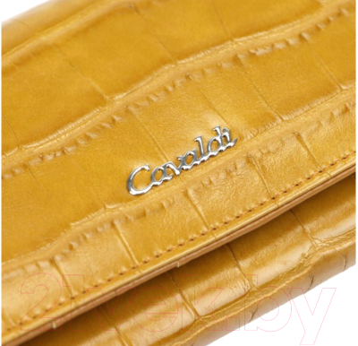 Портмоне Cedar 4U Cavaldi PX28-CR