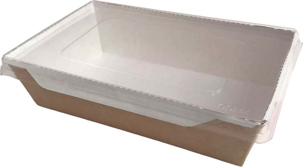 Набор одноразовых контейнеров Gecko С плоской крышкой 1000мл - фото