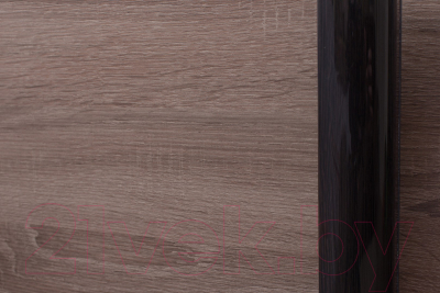 Шкаф-купе Евва 120 VTG.01 / АЭП ШК.2 03 (венге/дуб трюфель/венге глянец)