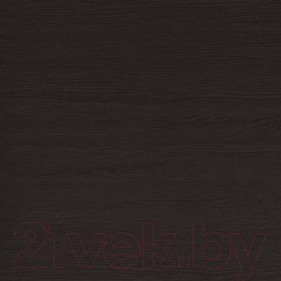 Шкаф-купе Евва 120 VG.05 / АЭП ШК.2 03 (венге/зеркало/венге глянец)