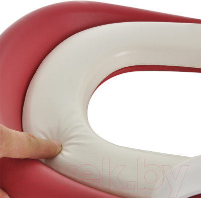 Детская накладка на унитаз Pituso FG366B