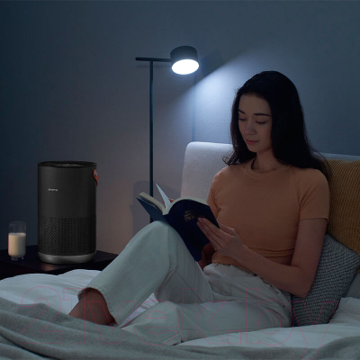 Очиститель воздуха SmartMi Air Purifier P1 / ZMKQJHQP11 (темно-серый)
