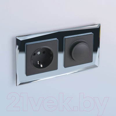 Диммер Werkel W1142008 / a051620