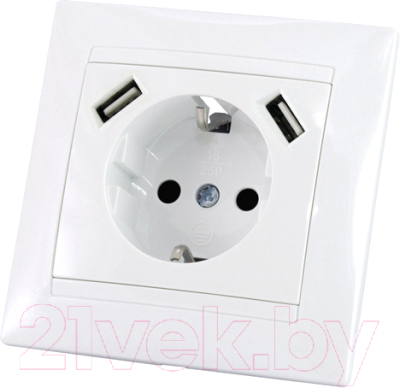 Розетка TDM Лама SQ1815-0042 - фото